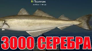 3000 СЕРЕБРА за 3 ЧАСА - СУПЕР ФАРМ СЕРЕБРА на 34 Банке на Норвежском Море в Русской Рыбалке 4! РР4