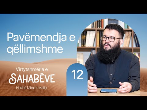 12. Pavëmendja e qëllimshme - Hoxhë Mirsim Maliçi
