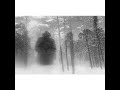 The Book Exists—Joan Liftin, Minor Matters Books, and "The Unconcerned Photographer"