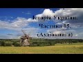 Історія України. Аудіокнига. Підготовка до ЗНО. Частина 15.