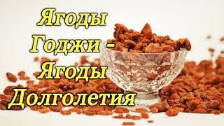 Ягоды Годжи - Ягоды Долголетия.  Информация.