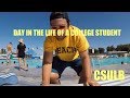 DAY IN THE LIFE OF A COLLEGE STUDENT (part 3) | CSULB