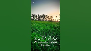 تلاوة هادئة من سورة النحل 🍃🕋محمد صديق المنشاوي 🍃🕋