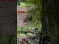 This is why you pattern!