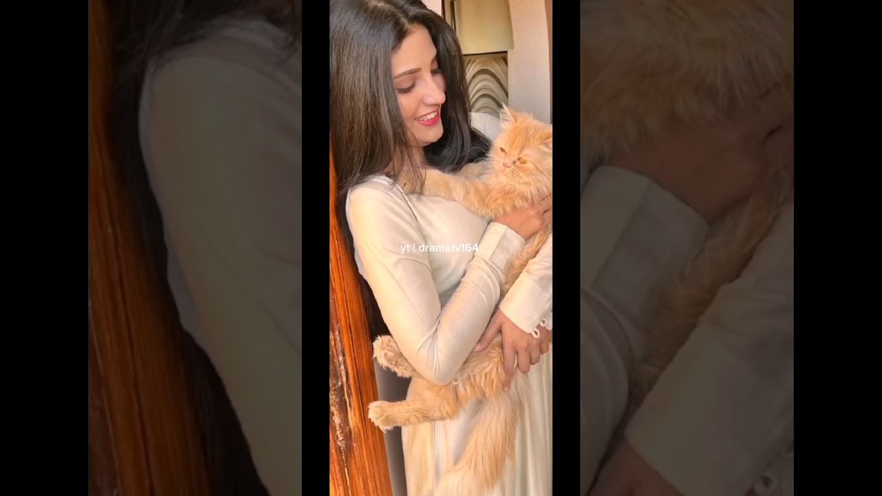 Ellie zaid Most cutest pakistani actress 