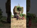 الوصول إلى آفاق جديدة في موسم الحصاد كيف يستخدم المزارعون السلالم لتحميل القش