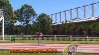 LA CARRERA CON VALLAS - Carreras con Vallas LA CARRERA CON VALLAS - Carreras con Vallas