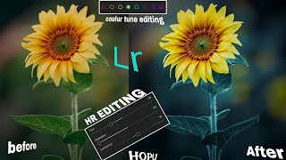 Lithroom editing full video kaise kare Lithroom editingyoutubeshortsphotographyshortsviralreels