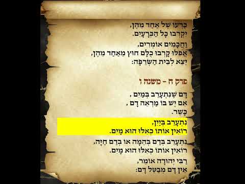 משניות זבחים פרק ח משנה ו