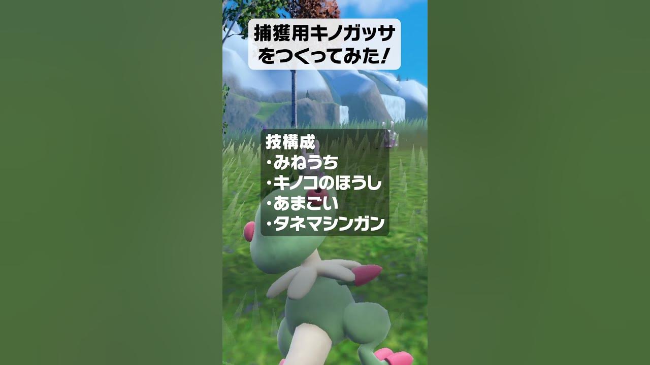 捕獲用キノガッサをつくってみた ポケモンsv Shorts Youtube 捕獲用キノガッサをつくってみた ポケモンsv Shorts Youtube