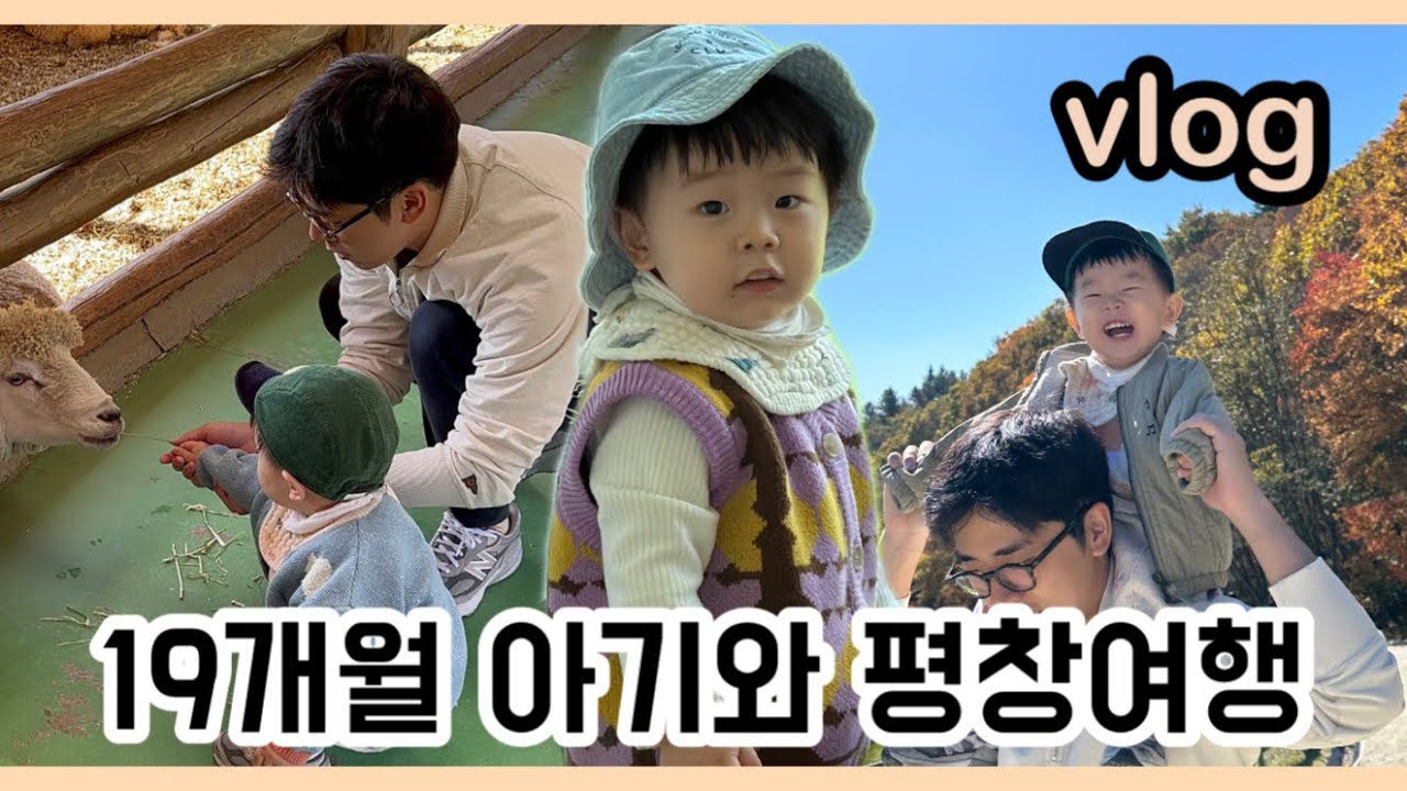 [여행vlog] 19개월 아기와 평창여행 / 켄싱턴호텔 평창 / 대관령 양떼목장
