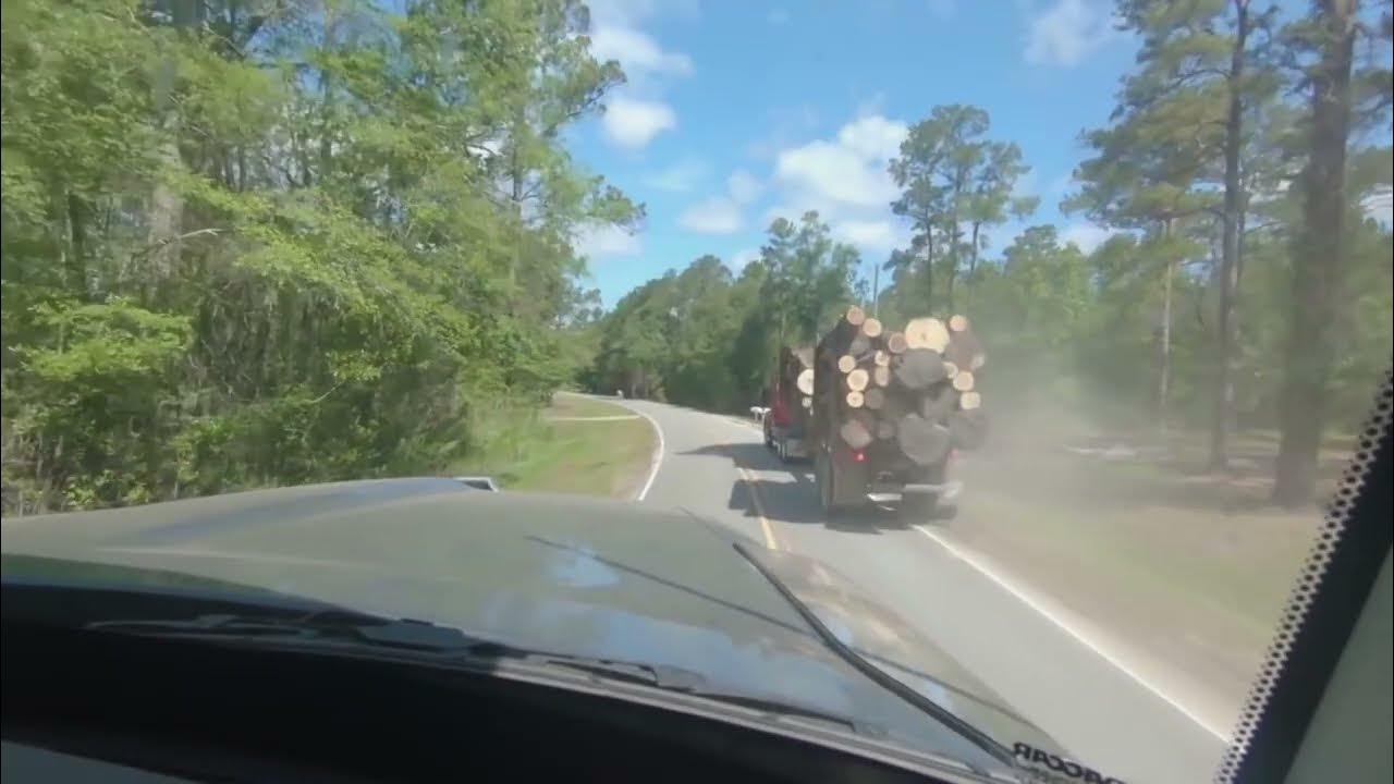 SWAMP LOGGERS NC / WATCH THIS! YouTube