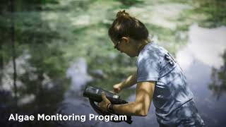 SRWMD - Algae and SAV Monitoring