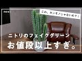 【コスパ最強】ニトリのフェイクグリーンがお値段以上すぎる！！お部屋を彩るホンモノそっくりな造花たちを紹介！
