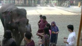 Aarti At Kashni Ashram Raman Reti - 4