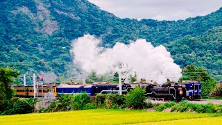 台鐵4666次DT668蒸汽機車仲夏寶島號山里站南並行4534次EMU500區間車-2021/11/13