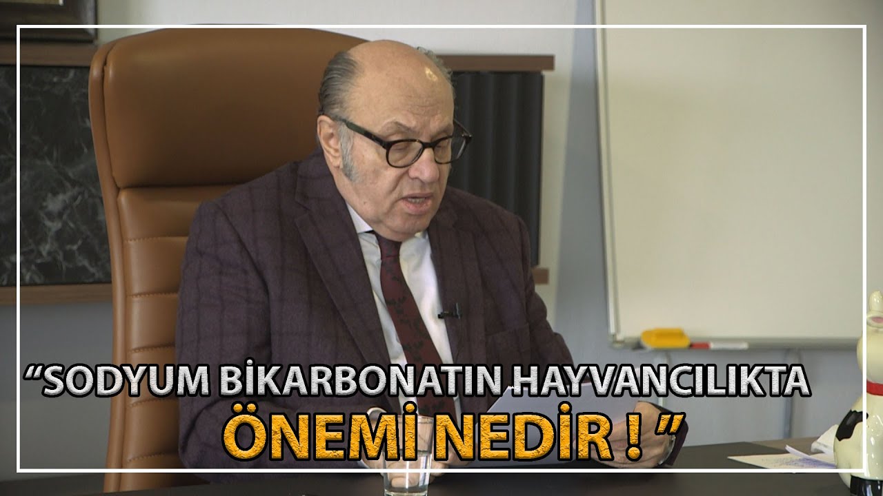 Geviş Getirmeye Neler Engel Olur ! - İşkembe Neden Durur !