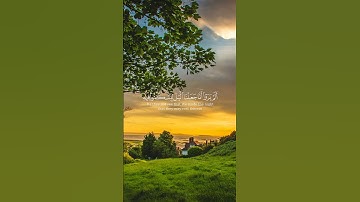 الم يروا انا جعلنا الليل ليسكنوا فيه ياسر الدوسري #ياسر_الدوسري سورة النمل #yasseraldossary #quran