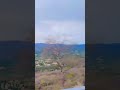 yah kya hai #shortvideo #trending #viral