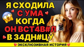 картинка: МОЯ СОБАКА ВДРУГ СДЕЛАЛА ЭТОСО МНОЙ ПОСРЕДИ НОЧИ