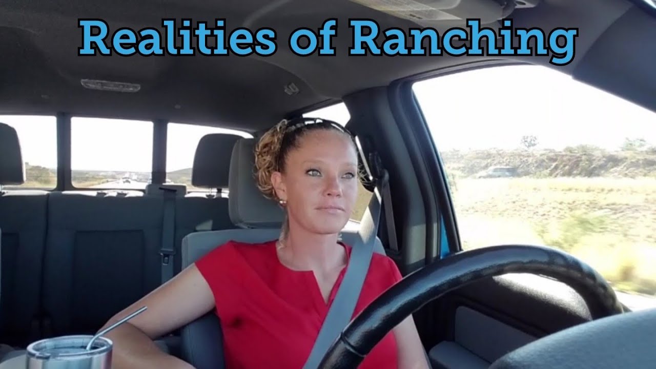 Breeding Goats Young