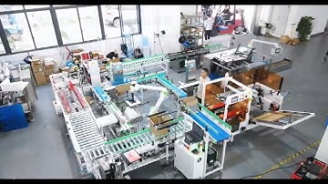 Automatic Box Cartoning Palletizing Robot Packing Line | Box Carton Palletizer End-of -line