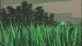 The Neglected Garden (from “The Secret World of Arrietty”) Visualizer – Vitamin String Quartet