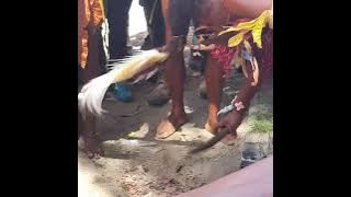 Papua New Guinea 16th Sep Gka Show 2023. Madang Bamboo String Band..