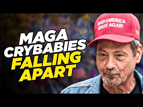 MAGA Crybabies Beg