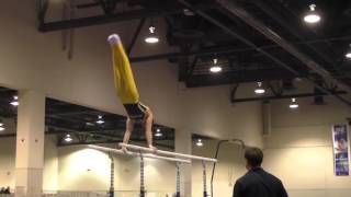 Dmitri Belanovski - Parallel Bars - 2016 Winter Cup Prelims