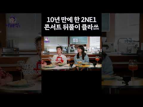 10년 만에 한 2NE1 콘서트 뒤풀이 클라쓰