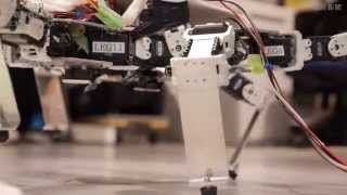 京大で災害救助ロボットを実演
