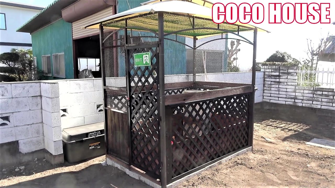 庭にニワトリ小屋を作った！ジョンとしゃもじ、引き受けた