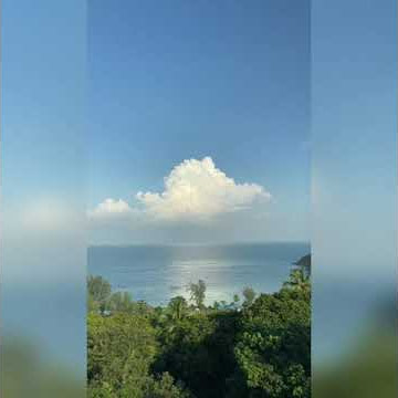 Francis Goya: La Paloma