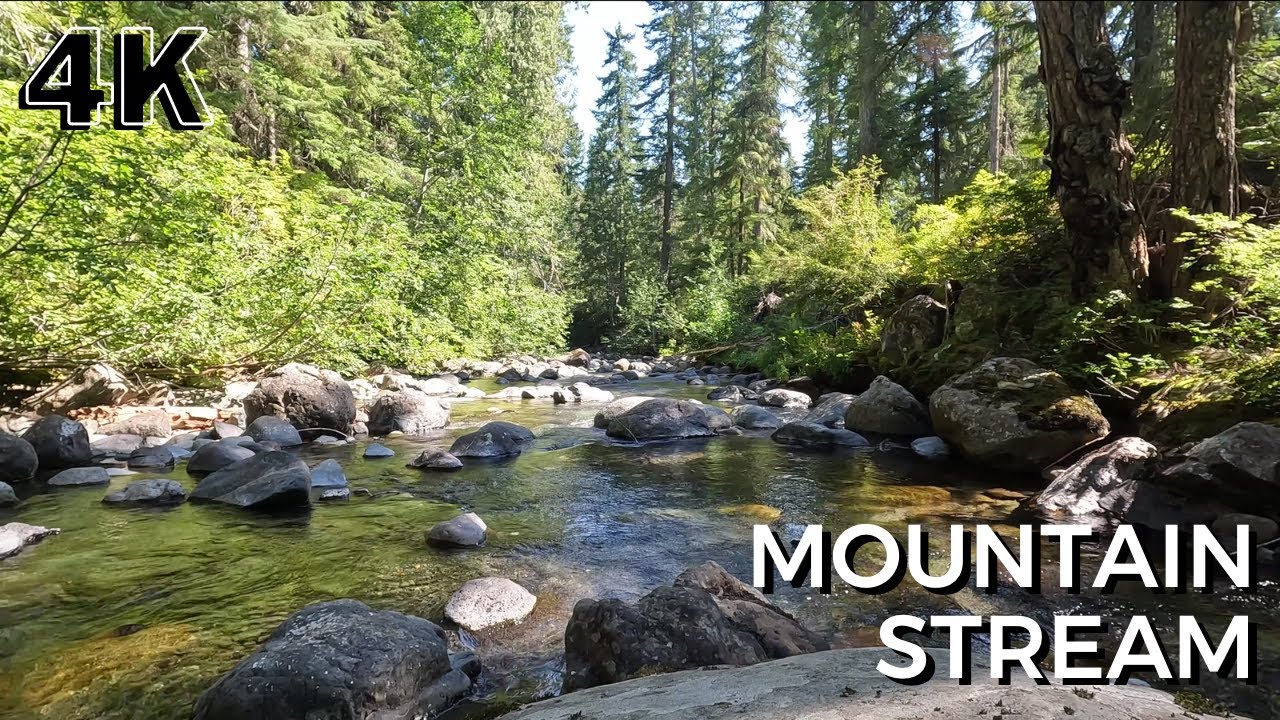 4k Mountain Stream in Sunny Nature - 2hr Water Flow with Subtle Bird Sounds - Relax Sleep Yoga Study