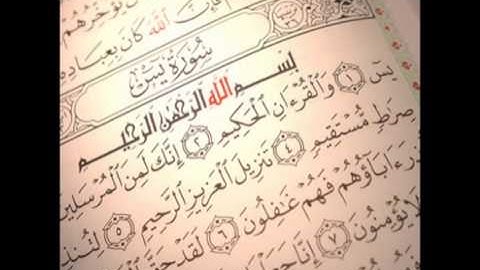 تلاوه للشيخ مبارك المري رائعه من سورة يس