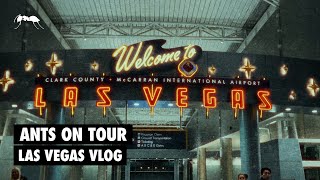 ANTS on Tour | Art Of The Wild Las Vegas Vlog 2023