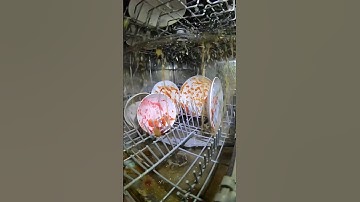 I put a camera inside my dishwasher 📸 🧼