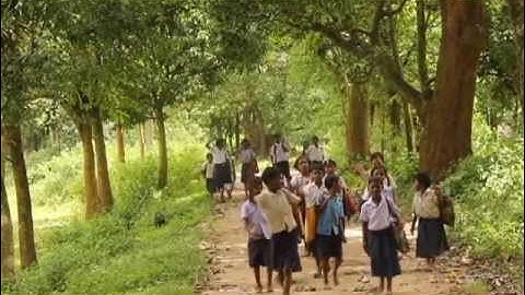 SCQuIP -Where the Mind is Without Fear and Learning is Fun