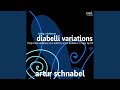 Miniature de la vidéo de la chanson Thirty-Three Variations On A Waltz By Anton Diabelli In C Major, Op. 120: Variation 29: Adagio Ma Non Troppo