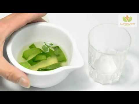 Prodotti naturali dietetici - Aloe Vera -  Sani e Snelli Project