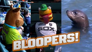 Scooby Doo, a burger man and a seal walk into a ballpark... | Oddities and bloopers of September!