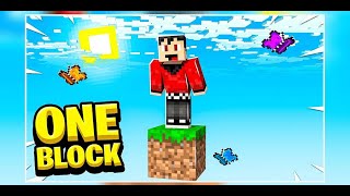STARTING A NEW SERIES OF ONE BLOCK  | @Notgamerglitch