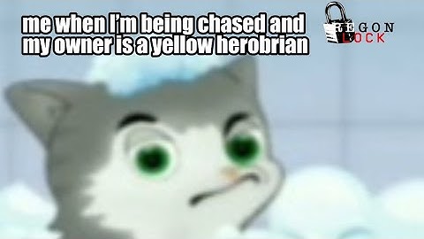 Regon Lock 5: KITTEN CAT SIMULATOR GLITCH