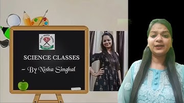 Class 3 #Chapter-4 Animals : Common Insects