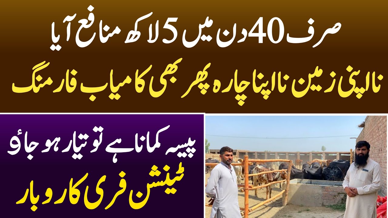 New Interview Of Bachra Farming At Rajowal Qasoor 30 Days Plan YouTube