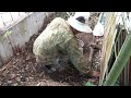 土作り、田いも