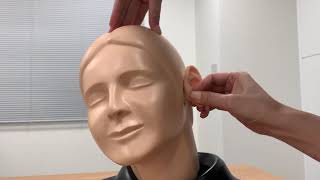 EAR Examination Simulator II Handling Tips