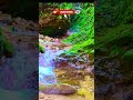 Nature Frequencies Healing | 432Hz Breathing Meditation for Deep Relaxation#shorts  #naturesounds