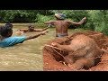 One of the greatest baby elephant rescue operations: Deep in the wild